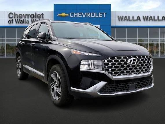 HYUNDAI SANTA FE 2023 5NMS3DAJ7PH610566 image